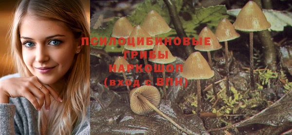 PSILOCYBIN Алзамай